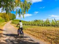 Cycling along the Alsatian Wine Route in France