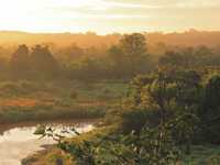 Our Positive Impact Projects, such as the Kariba REDD+ forest protection in Zimbabwe, supports local communities and their sustainable development. |  South Pole