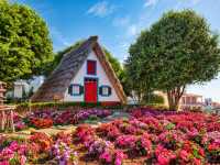 Traditional Houses on Madeira during a Sunny Day, Portugal |  Roman Slavik